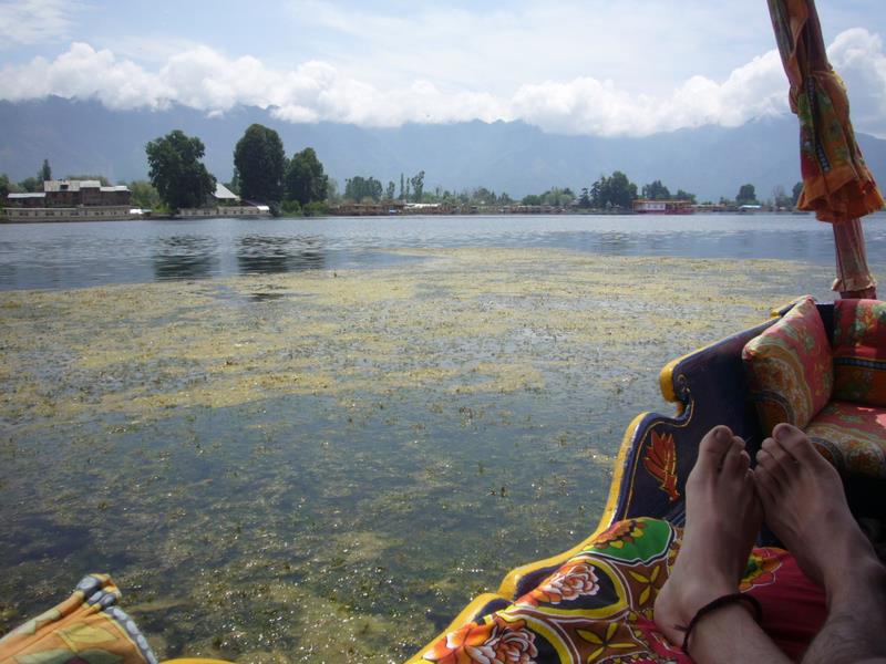 Travel - India - Kashmir - Srinagar - Shikara Ride